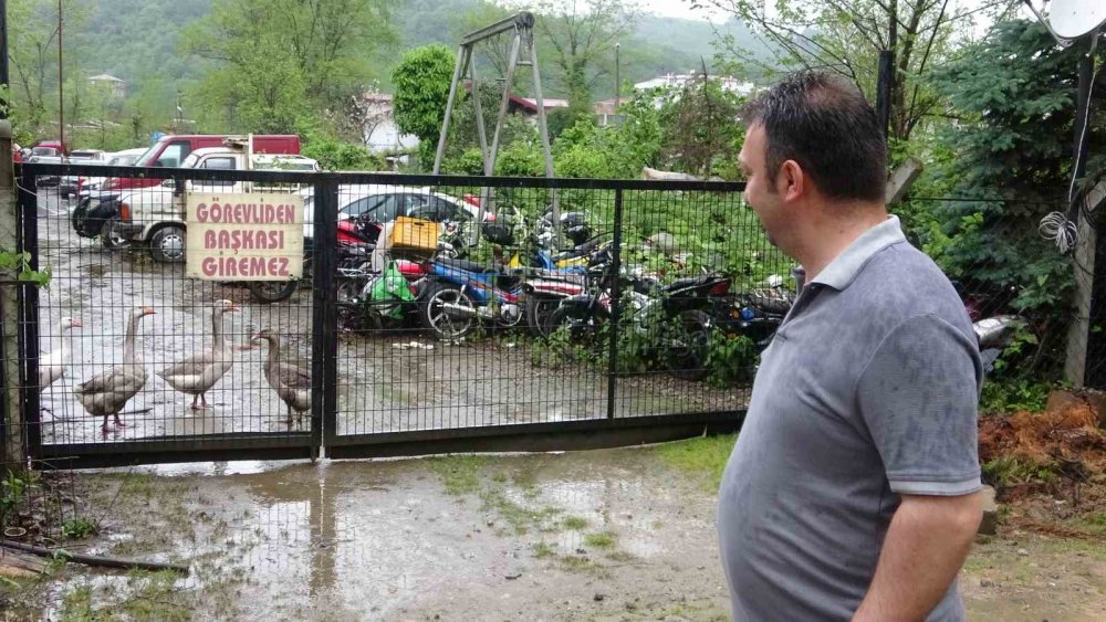 Milyonluk Cip Otoparkta Çürümeye Terk Edildi