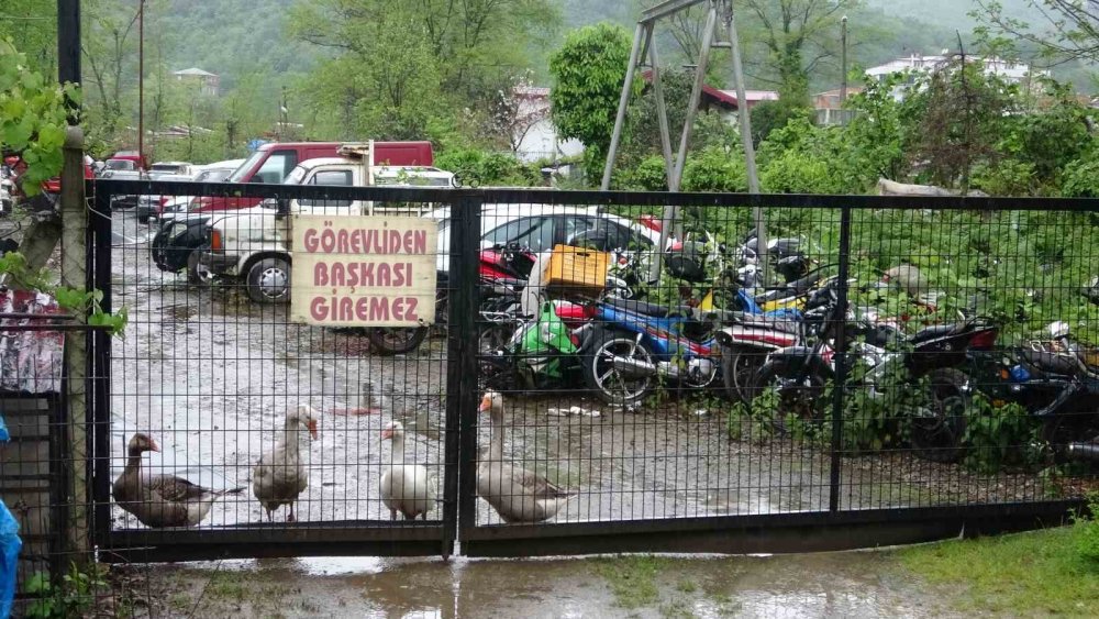 Milyonluk Cip Otoparkta Çürümeye Terk Edildi