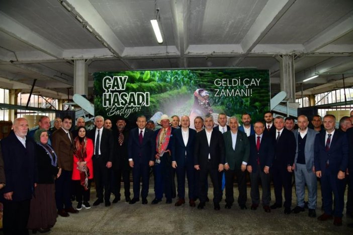 of-cay-13.jpg