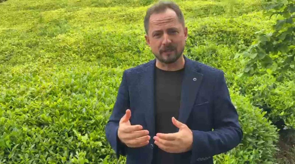 Karadeniz’de Yeni Turizm Trendi: Çayla Dolu Jakuzilere Yoğun İlgi