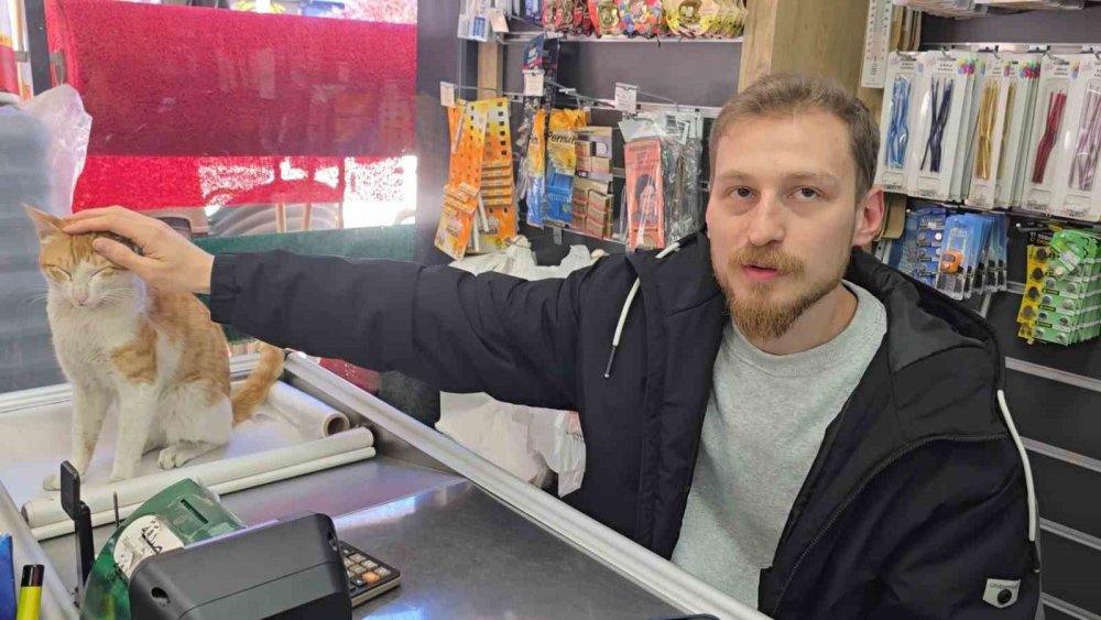Rize’de Kedi İle Esnafın Dostluğu