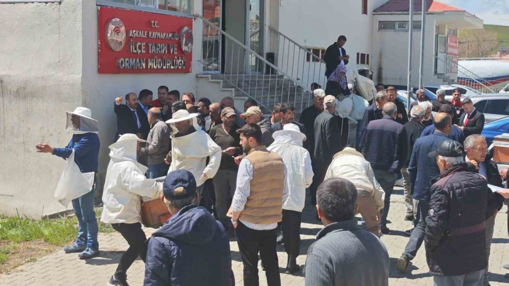 Aşkale’de Arıcılığa Büyük Destek: 50 Üreticiye Hibeli Kovan Dağıtıldı