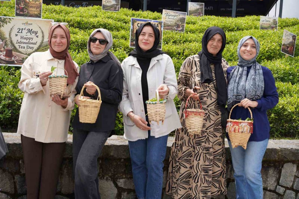 Rize’de Dünya Çay Günü Elle Hasat Etkinliğiyle Kutlandı