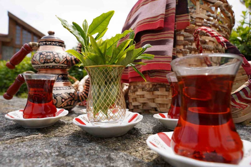 Rize’de Dünya Çay Günü Elle Hasat Etkinliğiyle Kutlandı