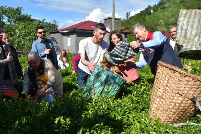artvin-cay.jpg