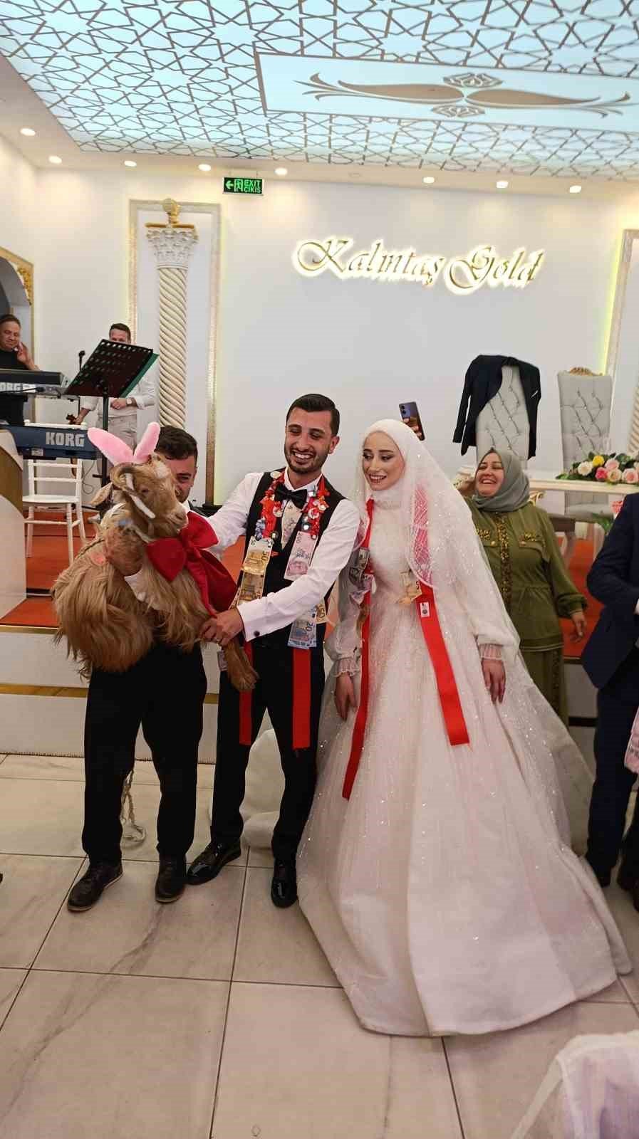 Trabzon’daki Düğünde Takı Törenine Keçi Damga Vurdu