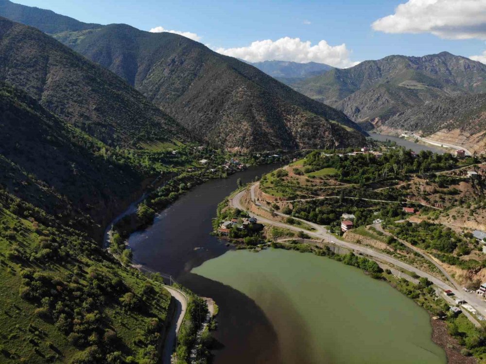 Torul Baraj Gölü’nde Alg Patlaması, Suyun Yüzeyi Koyulaştı