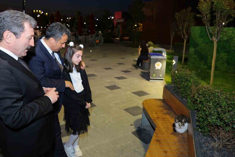 Samsun’da 15 Çevre Projesi Hayata Geçirildi: Kirlilikten Geri Dönüşüme Kapsamlı Mücadele