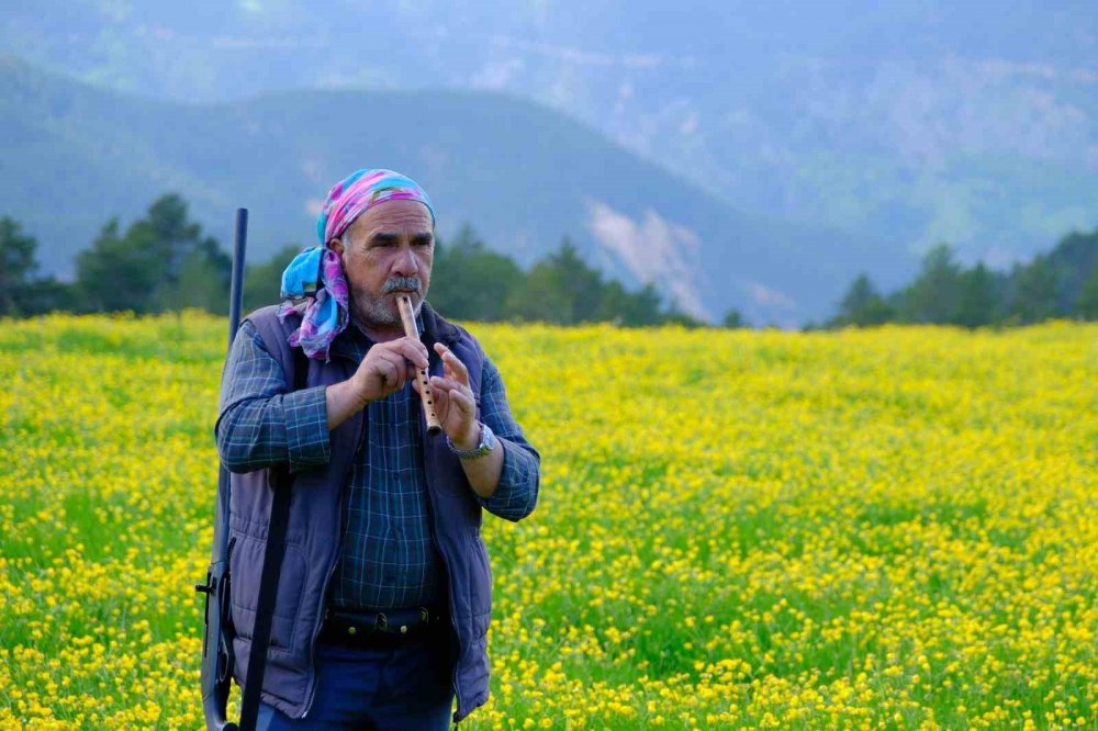 Bin 950 Metrede Görsel Şölen