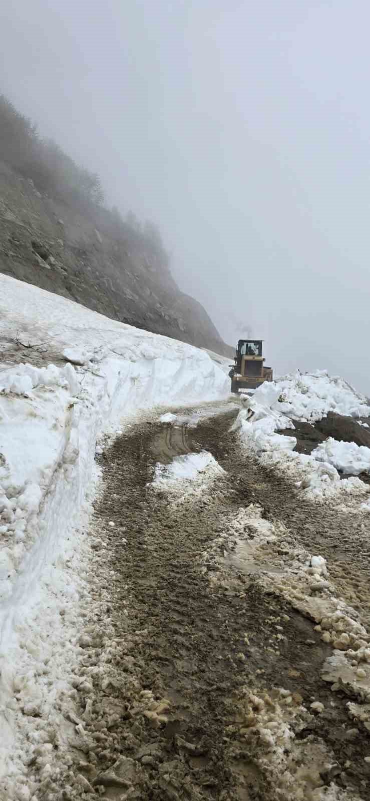 Haziran Güneşi Yayla Yollarını Açtırdı: Rize’de Kar Mesaisi Başladı