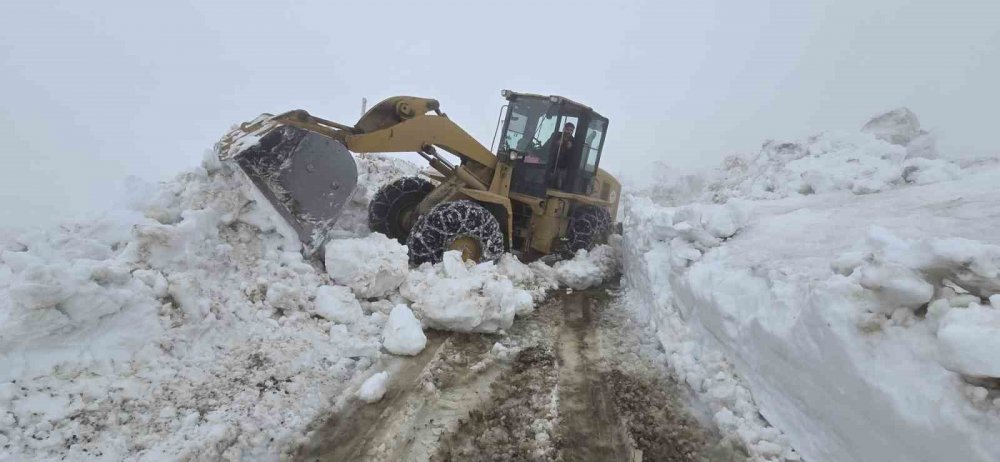 Haziran Güneşi Yayla Yollarını Açtırdı: Rize’de Kar Mesaisi Başladı