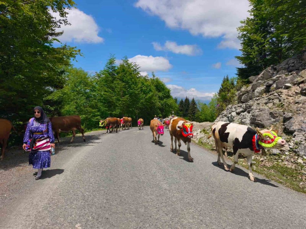 Trabzon’un Şalpazarı İlçesinde Geleneksel Yayla Göçü Başladı