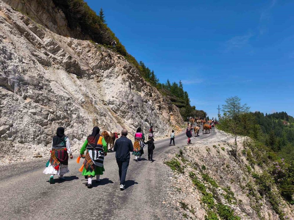 Trabzon’un Şalpazarı İlçesinde Geleneksel Yayla Göçü Başladı