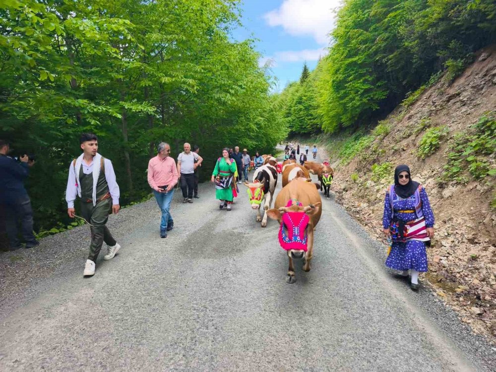 Trabzon’un Şalpazarı İlçesinde Geleneksel Yayla Göçü Başladı