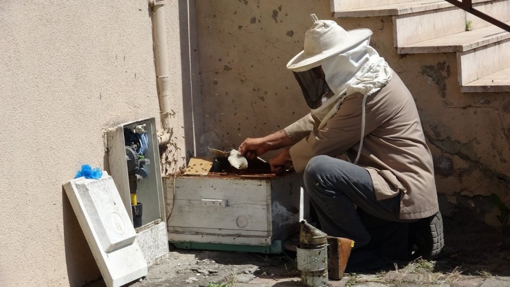 Doğal Gaz Kutusuna Yuva Yapan Arılar Tedirgin Etti
