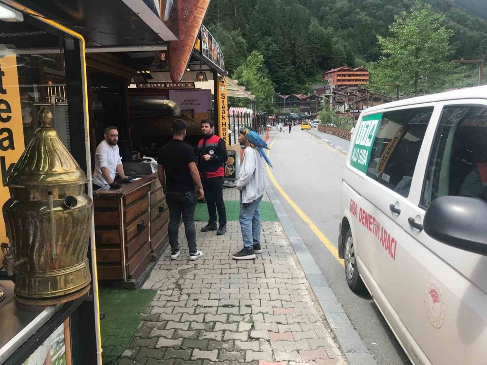 Uzungöl’de Turizm Sezonu Öncesi Sıkı Denetim