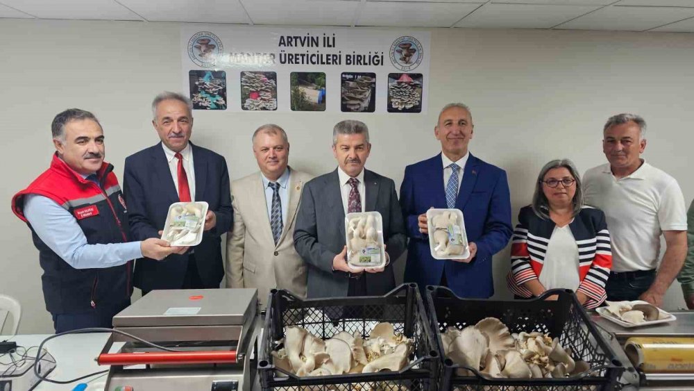 Tünelde Üretilen İstiridye Mantarının İlk Hasadı Gerçekleştirildi