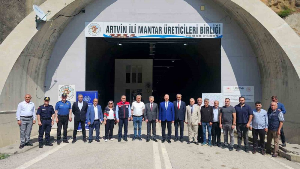 Tünelde Üretilen İstiridye Mantarının İlk Hasadı Gerçekleştirildi