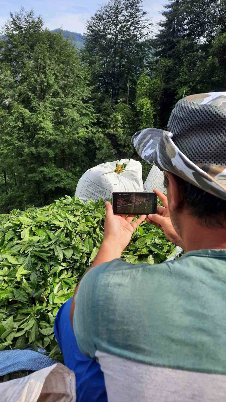 Rize’de Çay Bahçesinde Milli Maç Heyecanı