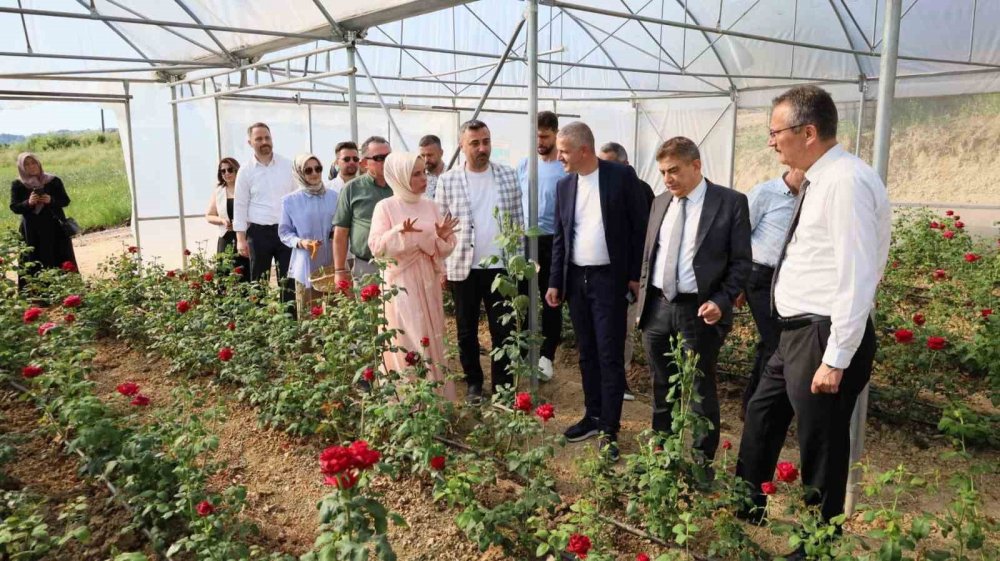 Kadın Girişimci Hibe Desteğiyle Kocaeli’nin İlk Gül Serasını Kurdu