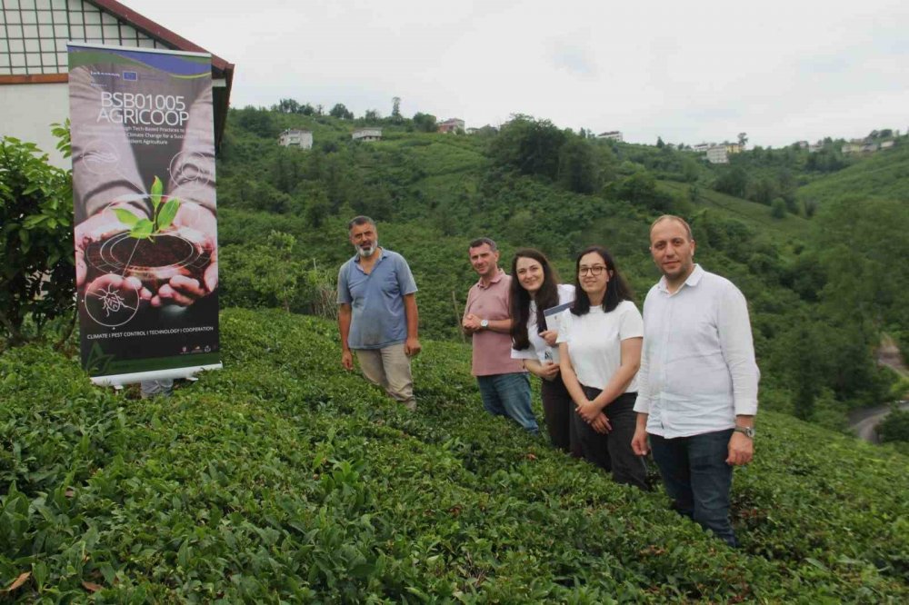 Karadeniz’de İstilacı Türlerin Tarım Ürünleri Üzerindeki Etkileri İnceleniyor