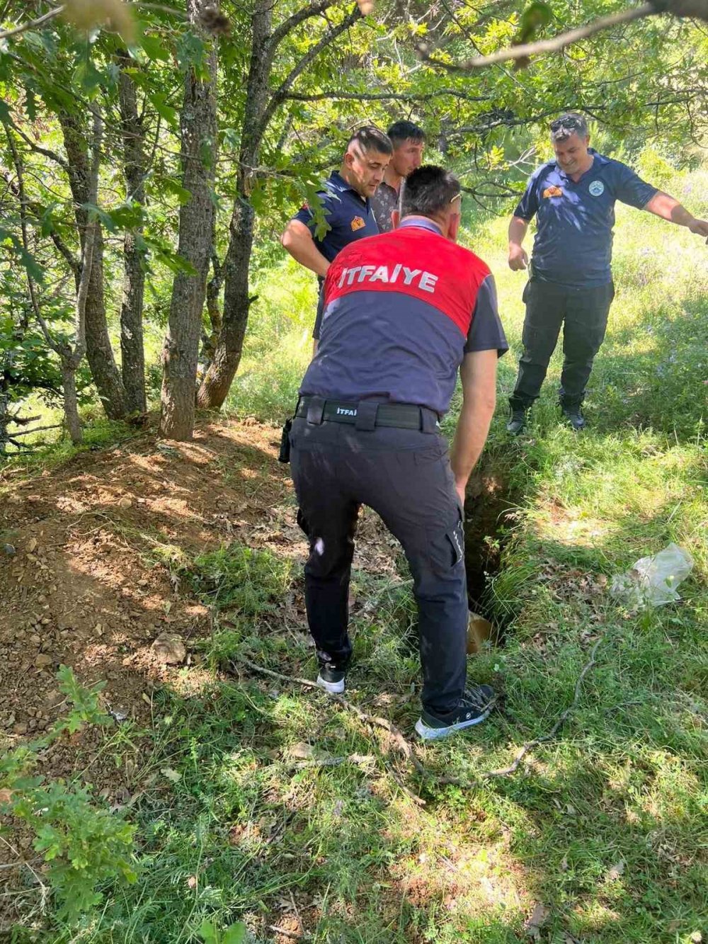Definecilerin Kazdığı Çukura Düşen Boğa Kurtarıldı