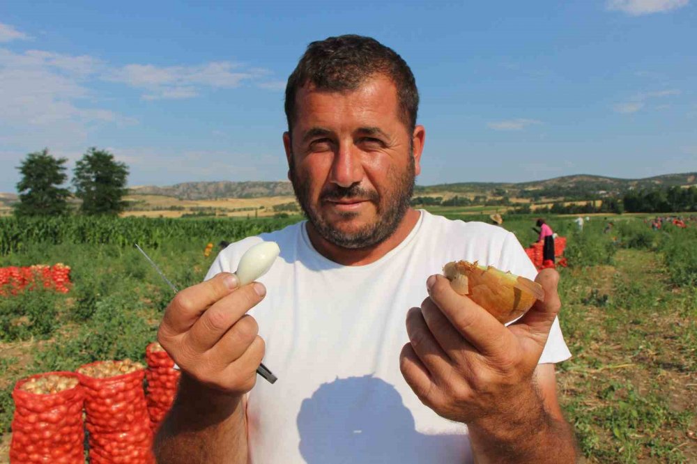 Amasya’da Soğan Bir Bardak Çaydan Bile Ucuz
