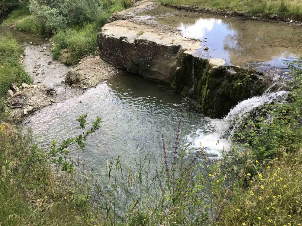Mahallelinin ’şelale’ Talebi