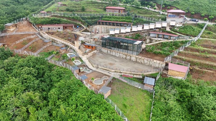 rize-hayvanat-bahcesi-1.jpg