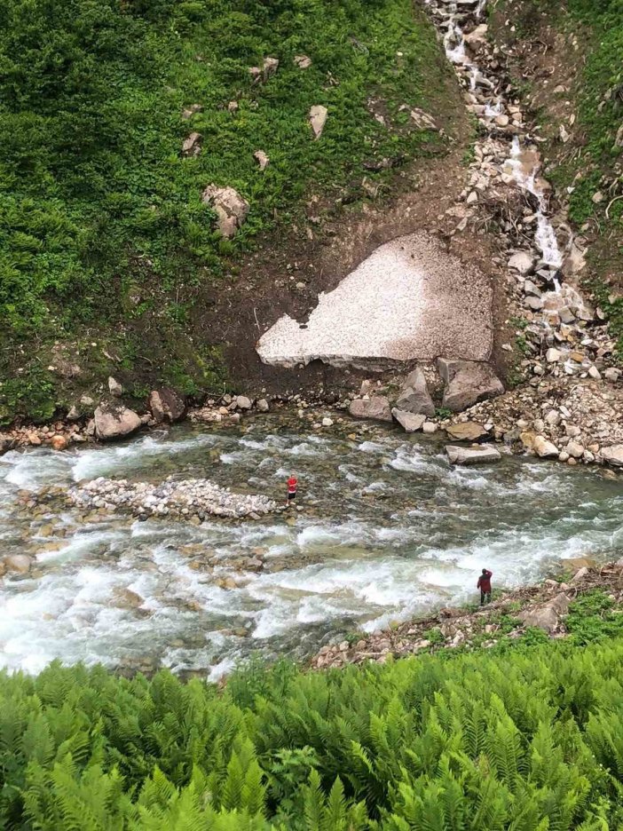 rize-kus-2.jpg