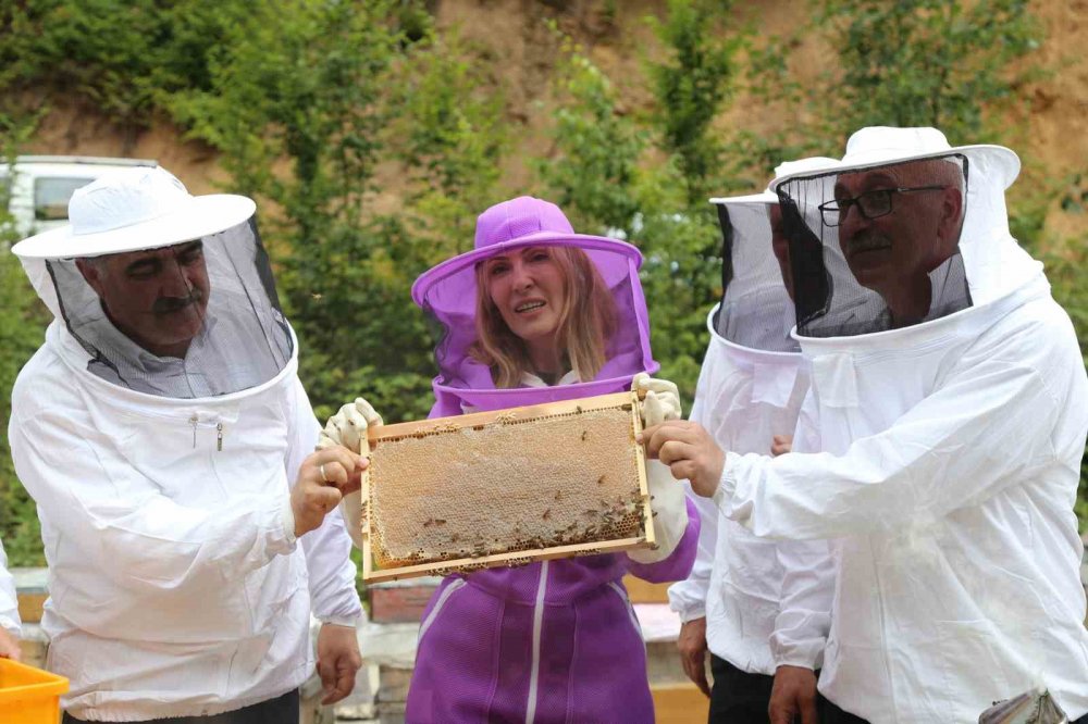 Artvin’de 2026 bal taban fiyatları açıklandı
