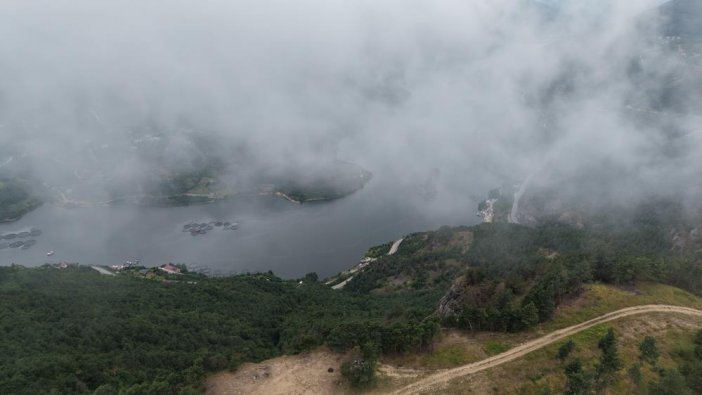 artvin1.jpg