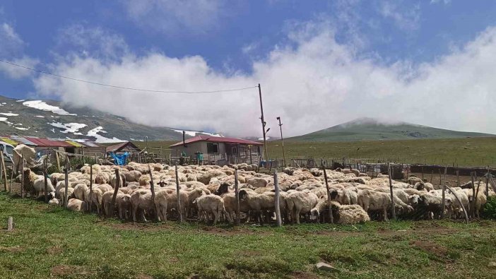 ordu1.jpg
