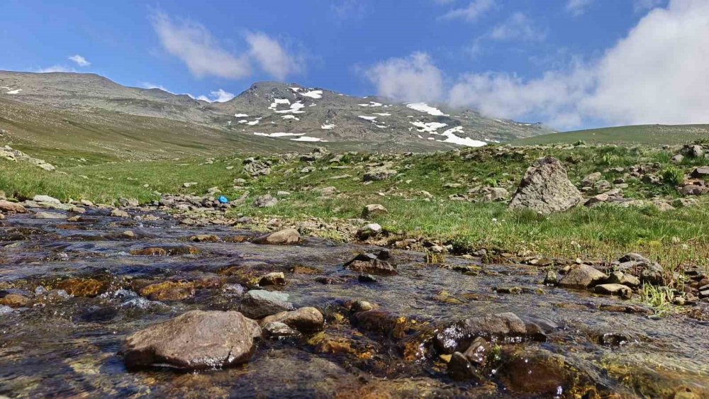 Ordu’nun Yaylalarında Yaz Güzelliği