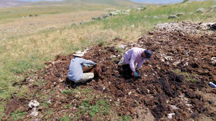 erzurum1.jpg