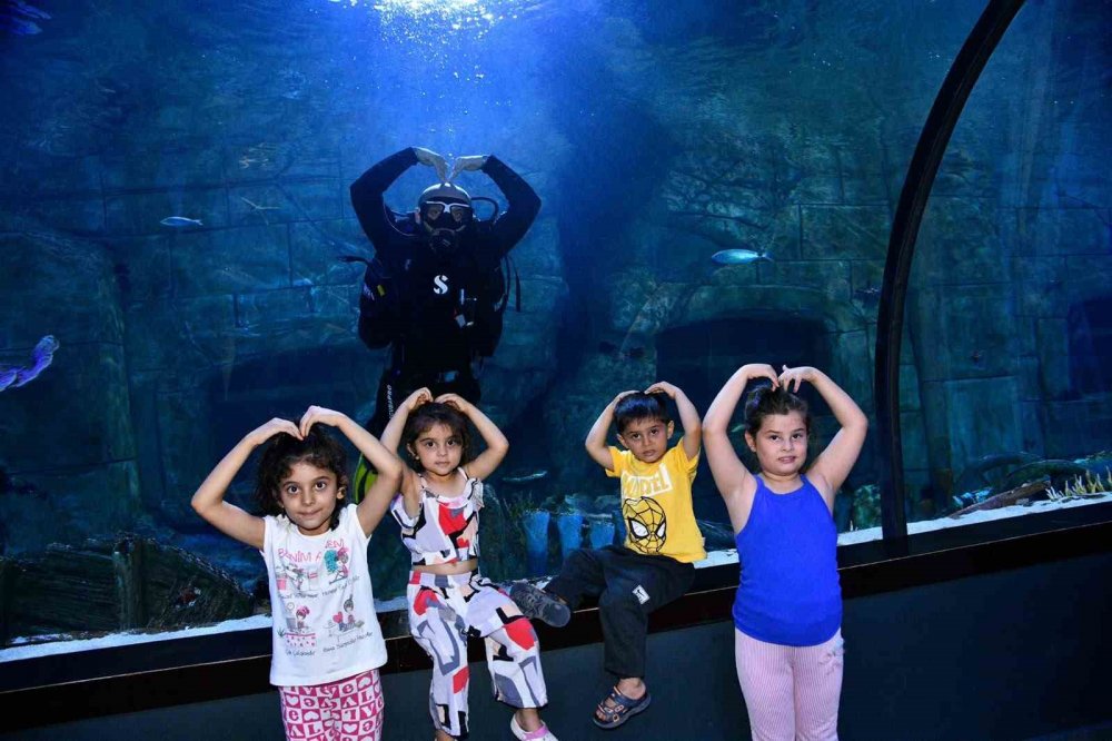 Trabzon Tünel Akvaryum ve Kuş Parkı'na Yaz Sezonunda Ziyaretçi Akını