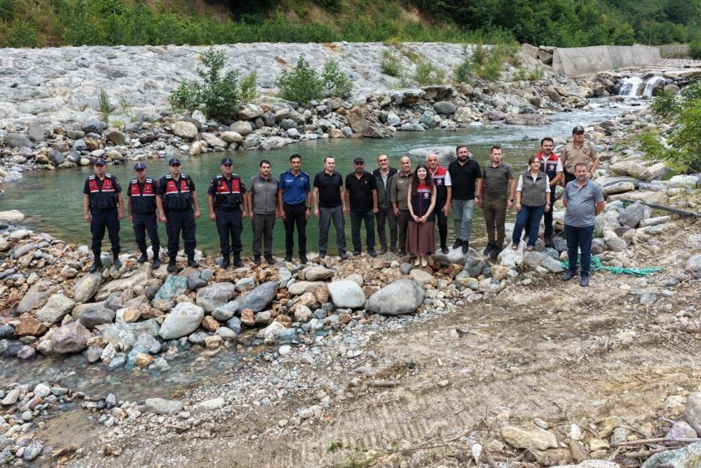 Artvin’de 30 Bin Kırmızı Benekli Alabalık Yavrusu Derelerle Buluştu