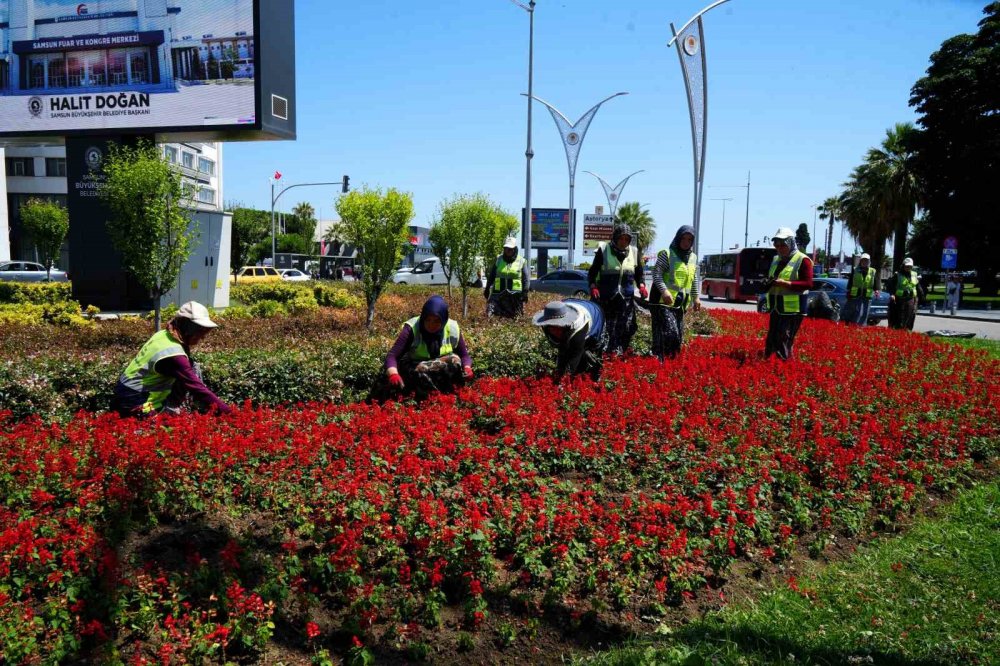 Samsun Kadın Eliyle Çiçek Açıyor: 6 Ayda 1 Milyon Çiçek Şehre Renk Kattı