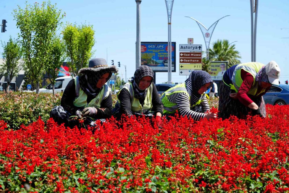 Samsun Kadın Eliyle Çiçek Açıyor: 6 Ayda 1 Milyon Çiçek Şehre Renk Kattı