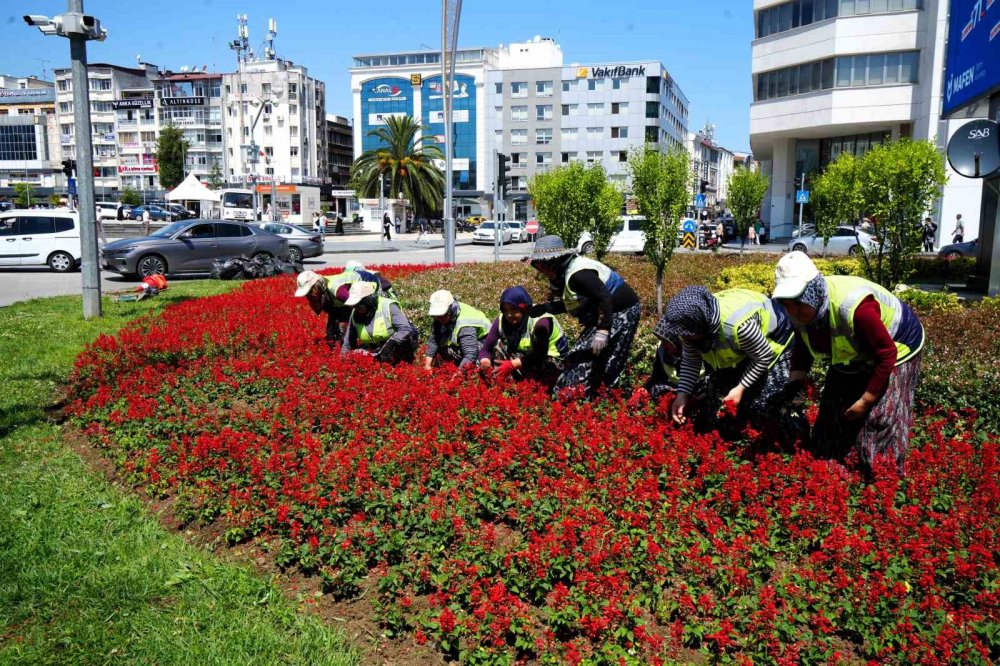 Samsun Kadın Eliyle Çiçek Açıyor: 6 Ayda 1 Milyon Çiçek Şehre Renk Kattı