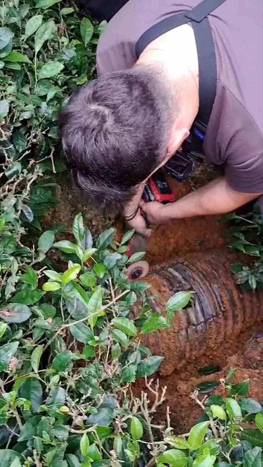 Boruda 4 gün mahsur kalan kediyi çay üreticileri kurtardı
