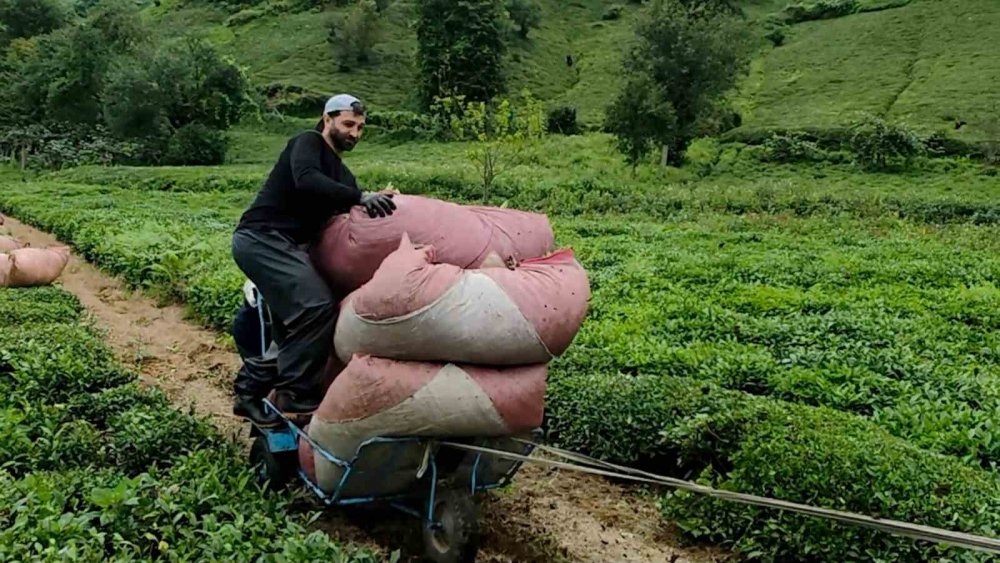 Rizeli’nin Pratik Zekası Kendisine Hayran Bıraktı