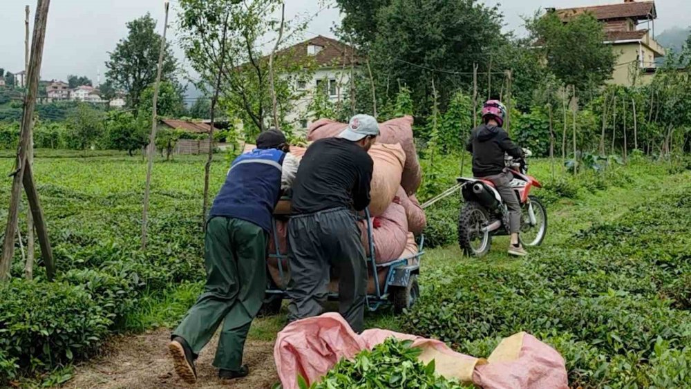 Rizeli’nin Pratik Zekası Kendisine Hayran Bıraktı