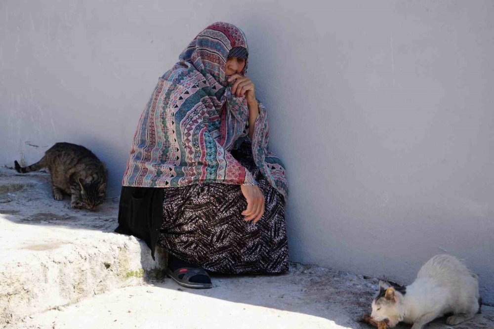 Bayburt’ta Senelerdir Sahipsiz Hayvanları Besleyen Kadın, 10 Yıldır Baktığı Sokak Kedisini Kaybetti: "iki Gün Ağladım"