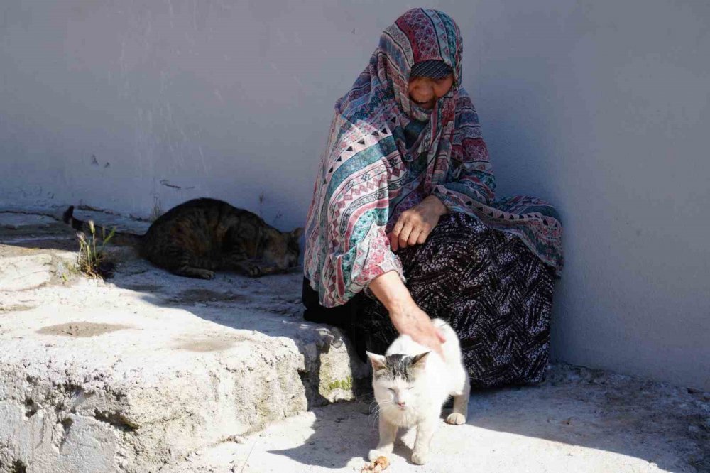 Bayburt’ta Senelerdir Sahipsiz Hayvanları Besleyen Kadın, 10 Yıldır Baktığı Sokak Kedisini Kaybetti: "iki Gün Ağladım"