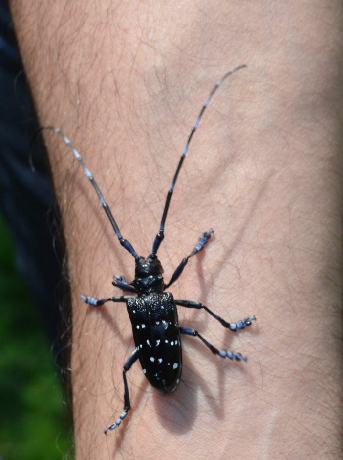aw763780-03.jpg