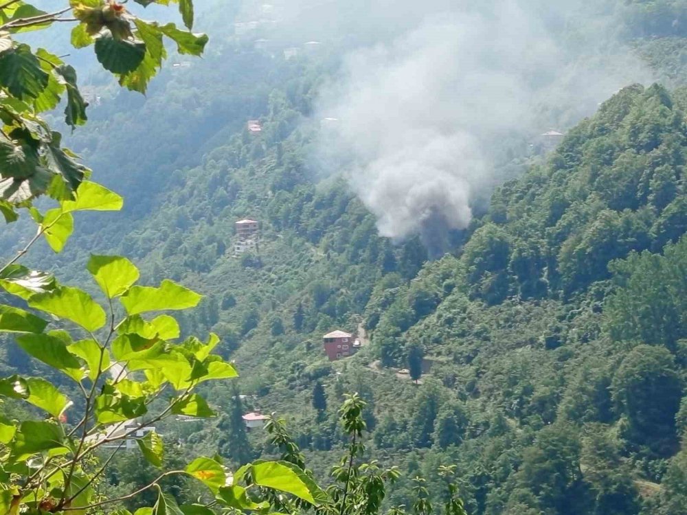 Trabzon’da Odunluk Yangın: 1 Yaralı