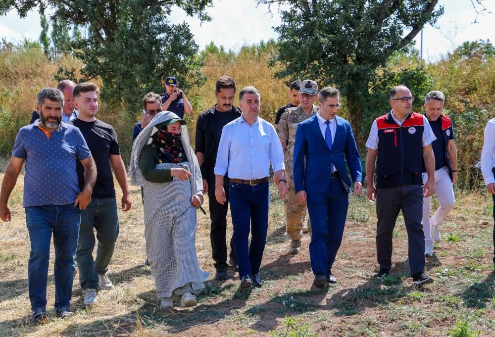 Bayburt’ta Tarhun Hasadı Başladı