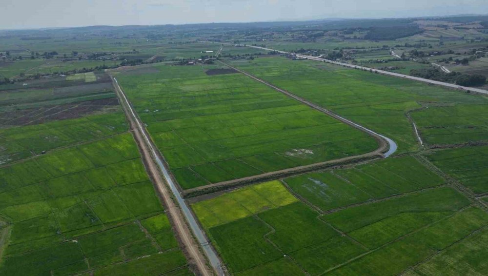 Bafra Ovası’nda 3 Milyar Tl’lik Sulama Projesinin Yapımı Sürüyor