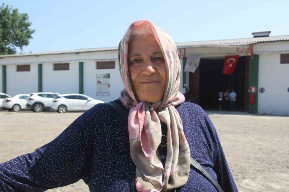 Tmo, Ordu’da Fındık Alımına Başladı